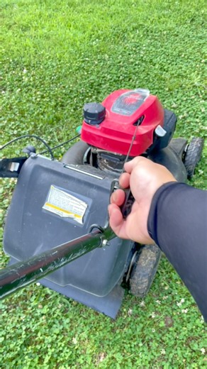 They Left This Mower Alone. #shorts #mower #honda