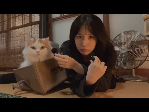 Cozy Hostel ASMR With A Stranger Cat (purring sounds, whispering)