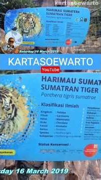 [3] BANDUNG ZOO | West Java 2019
