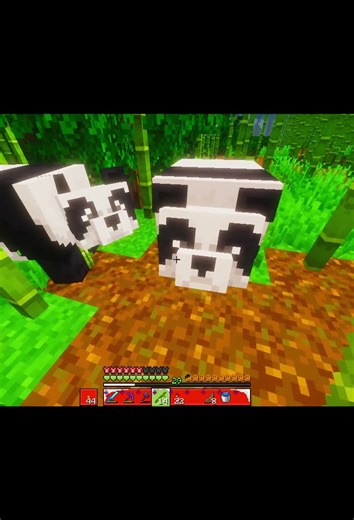 Minecraft Pandas Are So Cute 🥹