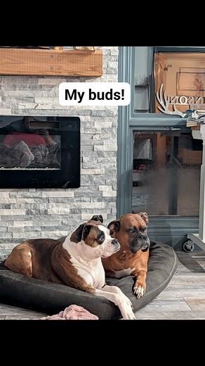 5 comments | Johnson Homes on Reels | Facebook