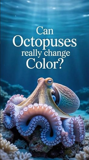 How Octopuses Change Color Instantly!