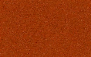 How often is it normal for a cat to fart? [2025] | QAQooking.wiki