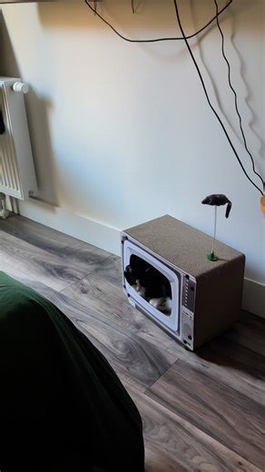 🎬 Is your cat ready for their close-up? Meet the Retro TV Cat House & Scratching Board — the purr-fect mix of vintage charm and feline fun. ✨ Why it’s a must-have for cat parents: ✔ 2-in-1 design: cosy hideout scratch zone ✔ Protects your furniture (and your sanity 🙀) ✔ Eco-friendly, recyclable, & cat-safe cardboard ✔ Retro design = Instagram-worthy home decor Whether your kitty wants to curl up inside for a nap 💤, sharpen their claws on the scratch panels 🐾, or bat at the toy mouse 🐭… this