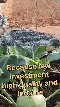 Apsa-80 farming benefits & low investment