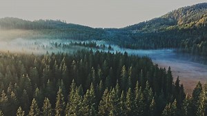 V naši naravi je navdih, da osvojimo nepojmljive višave, želja premagati neskončne razdalje, moč za spopad z najtežjimi izzivi in predanost skupnemu cilju, ki nas ponese na vrh! Uspeh je v naši naravi! ❤️ To smo mi! Pripravljeni smo na olimpijske igre. 💪 Hvala športnikom, da so si vzeli čas. V spotih (druge še delimo z vami v naslednjih dneh) je sodelovalo 21 športnic in športnikov, snemali pa smo na 10-ih lokacijah po Sloveniji. Feel Slovenia Janja Garnbret Tadej Pogačar Andreja Leški | Sloven