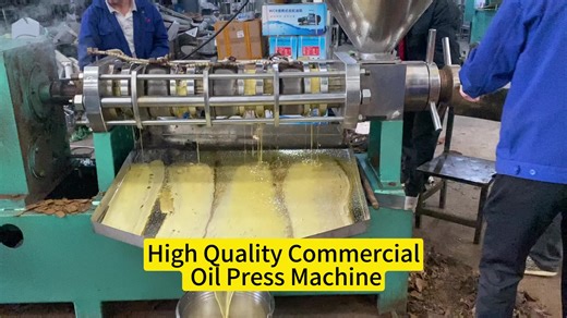 Automatic Oil Press for Multi Purpose Soybean Sunflower Peanut Oil Pressing Machine