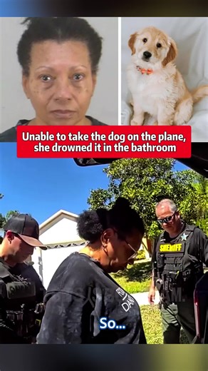 Unable to take the dog on the plane, she drowned it in the bathroom #foryou #usa #fyp #tiktok