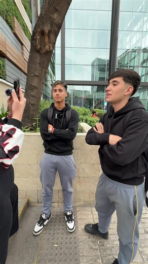 10 Animales que Comienzan con la Letra A