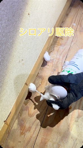 株式会社マルックス | 神戸市長田区でシロアリ駆除ムース施工‼️ #シロアリ#シロアリ駆除#株式会社マルックス#害虫駆除#害虫予防#防蟻#防虫#虫#虫駆除#DIY #リフォーム#木造住宅#蟻#工務店#家 | Instagram