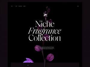 Perfume Ecommerce Website Design