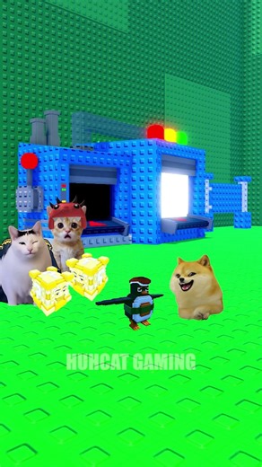 pov: caty Vs Dogy Vs dino elgatro LuckyBlocks..🤣| HuhCat Gaming #roblox