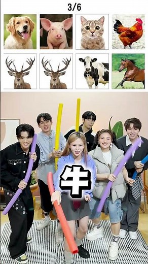 念動物挑戰！你們會想看進階版題目嗎？【黃氏兄弟】Ft.南瓜、容容、董仔、木星人#動物挑戰 #黃氏兄弟 #哲哲 #瑋瑋