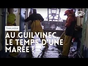 In Guilvinec, the time of a tide - Thalassa