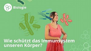 Wie schützt das Immunsystem unseren Körper? (Vorschau)