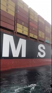 81K views · 1.6K reactions | Just a big ship revealing its propeller ⚓ Captured by pilot boat captain Adrian Minty, who operates at the entrance to the San Francisco Bay. #msccargo #propeller | MSC Mediterranean Shipping Co | Facebook
