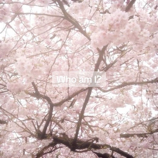 Poem on Bullying and Identity Struggles