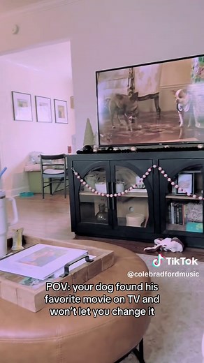 Beverly Hills Chihuahua 2: Dog's Movie Obsession