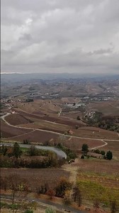 Wine yards in Autums. Colours of the Langhe, Italy