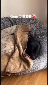 💔No heat or electricity in Kyiv during extremely cold weather https://hfu.org #CrimesAgainstHumanity #ukraine | Hope For Ukraine