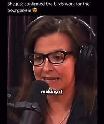 484K views · 14K reactions | An we thought robotic pigeons were fake. #robotics #machine #hybrid #mouse #pigeon #bugs #Remote #labs #remotecontrol | Jason Borelli | Facebook