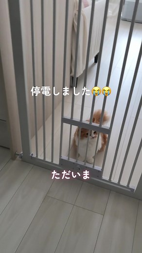 停電でオートロックが開かない時の対処法と体験談