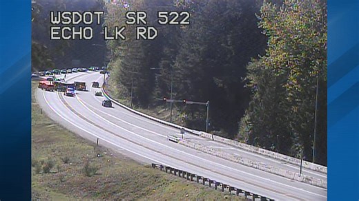 Tesla was in 'full self-driving' mode when car hit, killed motorcyclist on SR 522 in April