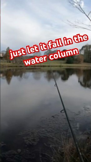 How to fish a plastic worm on a hook #fishing #bassfishing