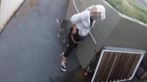 Sydney ‘poo jogger’ accused of defecating on pathway