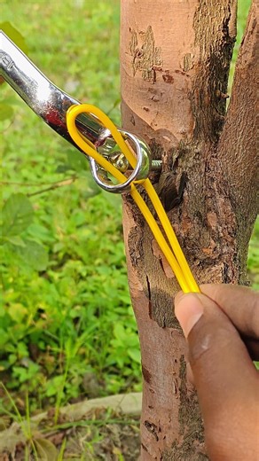 Smart useful idea #shorts #ropetrick #knotting #ropework #lifehacks #shortsfeed