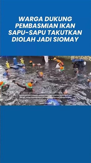 Warga Jakarta Dukung Pembasmian Ikan Sapu-sapu Takutkan Diolah Jadi Siomay