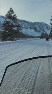 #Yellowstonewolves | Yellowstone Wolves