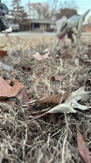 Mosasaurus blue and rexy vs Dominus Rex movie recreation ￼￼