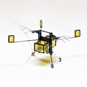 New RoboBee flies, dives, swims and explodes out the of water