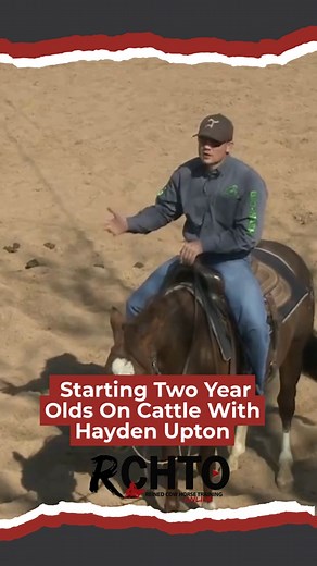 7.4K views · 89 reactions | How do you build true cow connection in a...