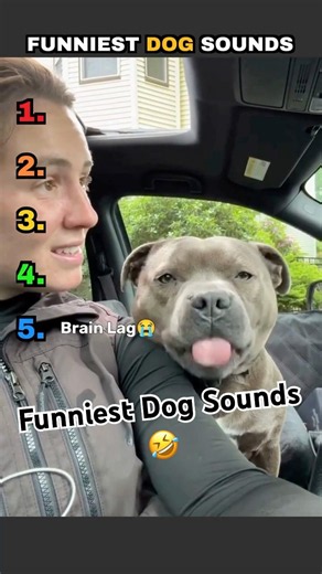 😂 Ranking The Funniest Dog Sounds Pt. 2 🐶🎤 #shorts #dog #dogs