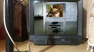 [录像带]2001年1月24日CCTV1广告、焦点访谈片段