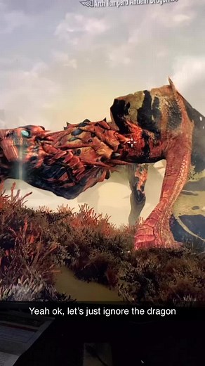 Skyrim: The Upset Dragon's Tale