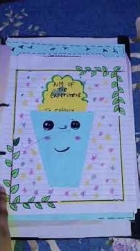 class 12th chemistry project ( extraction of essential oil present in saunf)