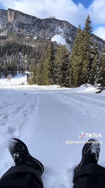Snow and trees #GlimpsesOfEternity