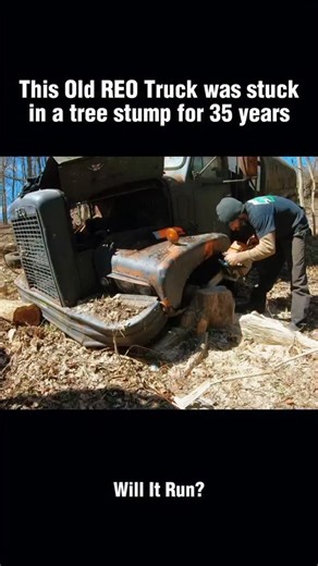 Old Reo Truck Was Stuck in a Tree Stump for 35 Years. #restoration #engine #recovery #rebuild #old #stump #stuck #repair | Willitrun