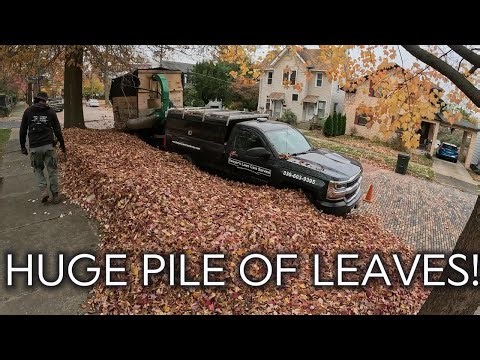 The FASTEST Way to Remove Fall Leaves from Your Yard!