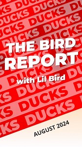 The Bird Report is back. 🦆🫡 #DucksUnlimited #TeamDucksUnlimited #waterfowl #waterfowlmigration #WaterfowlSurvey24 #migration | Ducks Unlimited