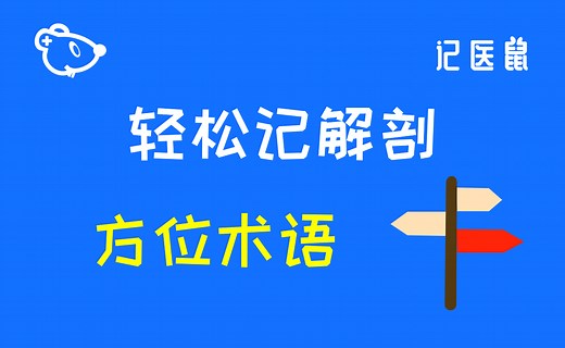 3 轻松记解剖-方位术语：尺侧、桡侧，胫侧、腓侧