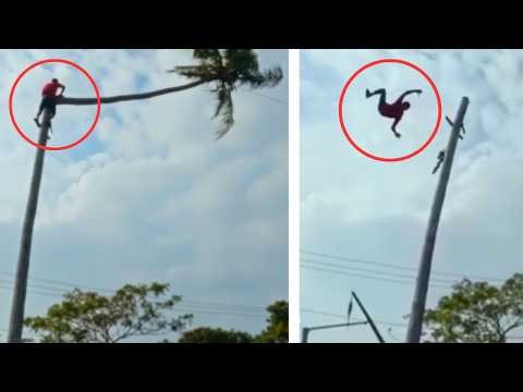 ❗WORK ACCIDENT - MAN FALLS WHILE CUTTING A PALM TREE
