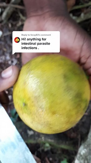 Mango Preparation Techniques: Close-Up Hand Shots