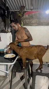 18M views · 383K reactions | Pinagsabihan q c browny at naun lang umuwi ng gabi,dati e 6pm palang asa bahay na,parang nppabarkada na ata...kainaman na @highlight | Alejandro Patallo | Facebook