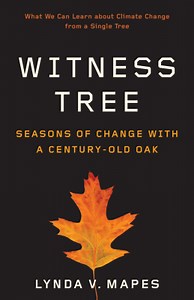 Witness Tree: The Book - Harvard Forest