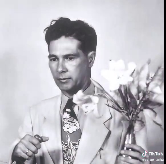 Discover Suriname: The Hidden Gem of South America