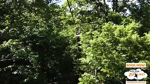 Get your wings and save 15% on your zip line adventure! Get the promo code here: http://www.whiteriverziplines.com/public/zip_lining_specials.cfm | White River Zip Lines